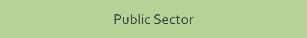 public sector