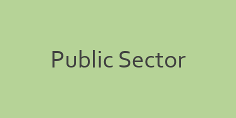 public sector